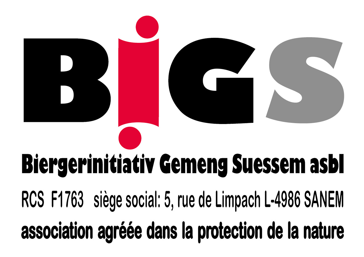 Logo Bigs